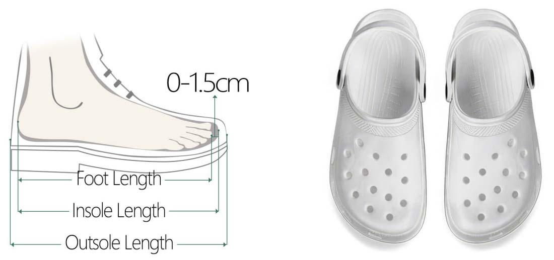 Adult crocs with detailed length