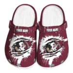 Personalized Florida State Seminoles Splash Motif Background Crocs Best selling