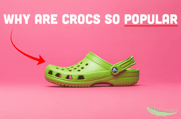 Why are crocs so popular