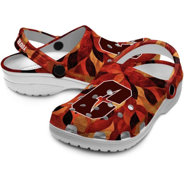 custom charlotte 49ers autumn leaves clog high quality