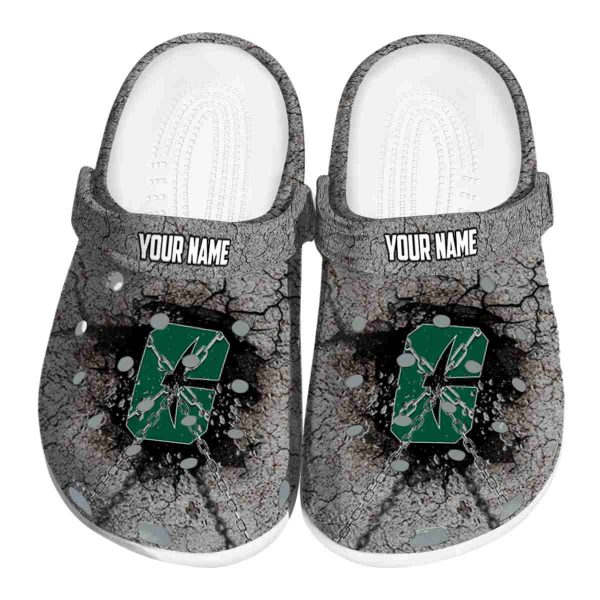 customized charlotte 49ers cracked ground texture clog best selling