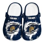 customized fiu panthers splash motif background clog best selling