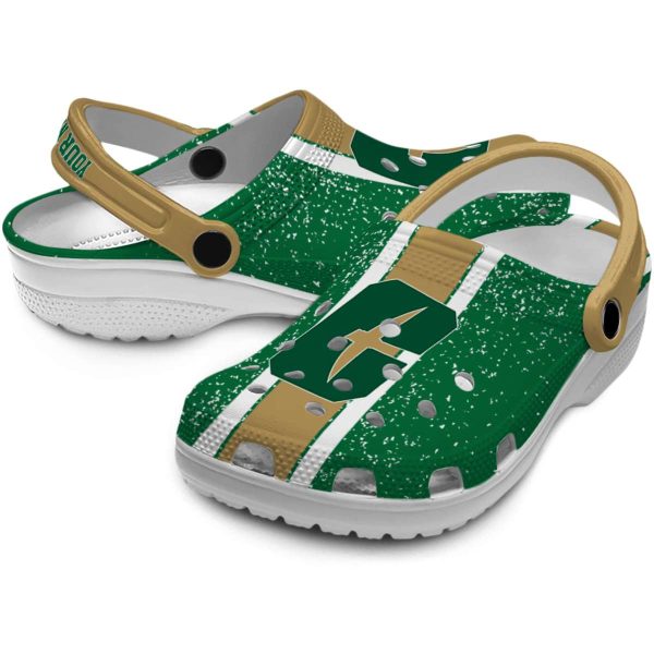 personalized charlotte 49ers vertical stripes clog high quality