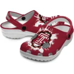 Custom Temple Owls Clogs Gripping Hand Best Selling
